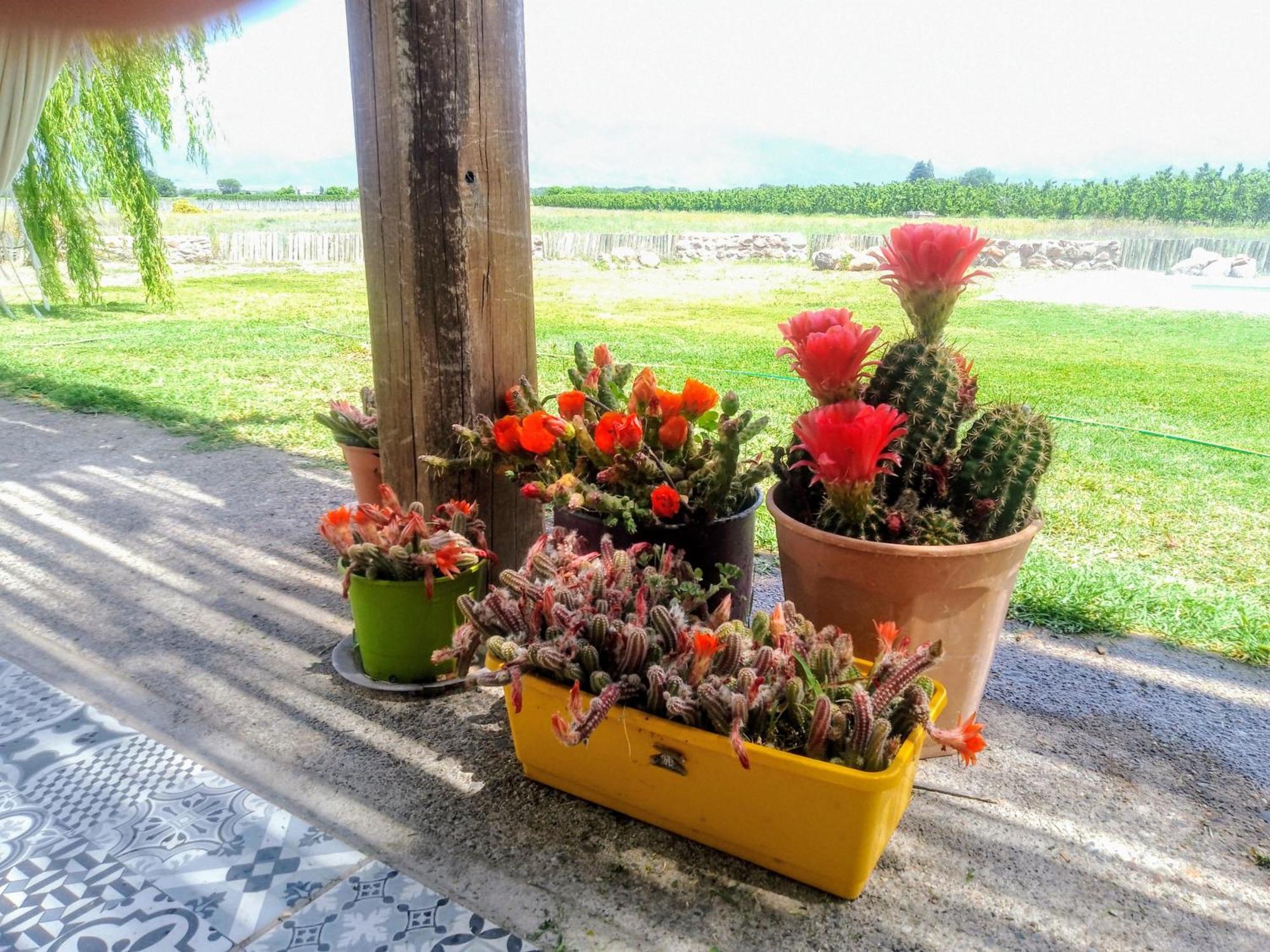 La Angelita * Tunuyan